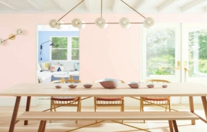 Benjamin Moore Color Of the Year 2020: First Light ( Helm Paint & Decorating)