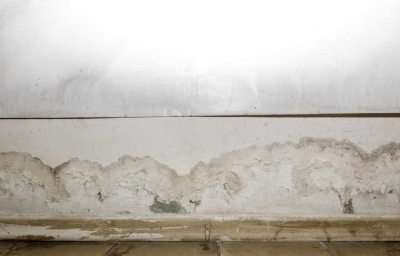 Mildew On baseboard | Texas Paint & Wallpaper